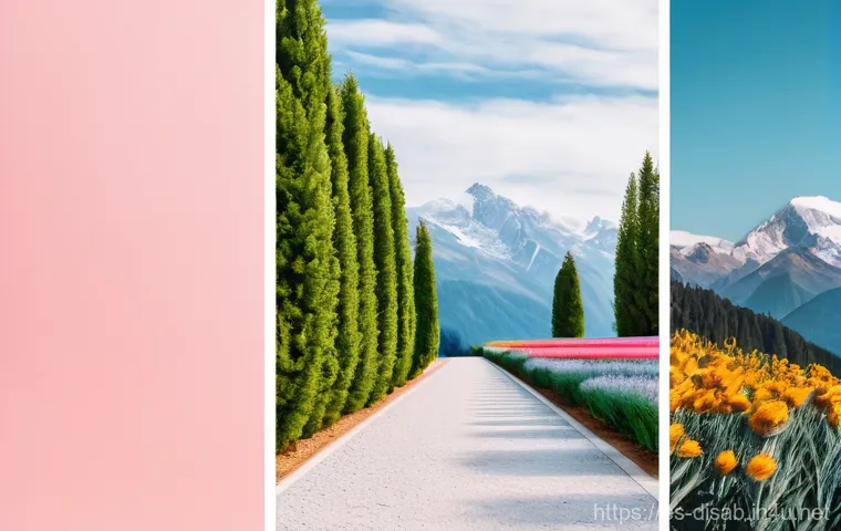 장애인재활상담사 응시 자격 학력 - Here are three detailed image prompts: